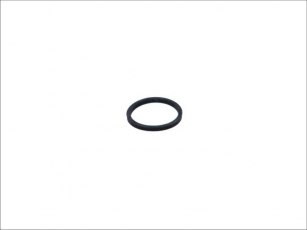 Уплотнительное кольцо, клапанная форсунка 100 677 Topran фото 1